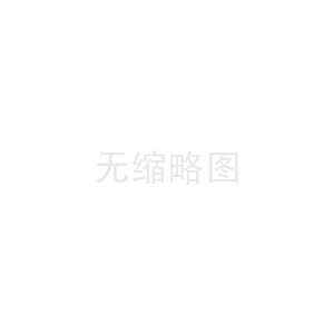 Technology transfer of high voltage frequency converter